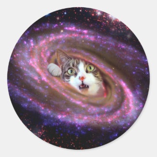 Galaxy Space Cats LOL Funny Sticker