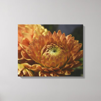 Galerie de toile moderne – Élégant pour n'importe