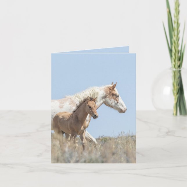 Galetea and Foal Wild Horse Greeting Card (Front)
