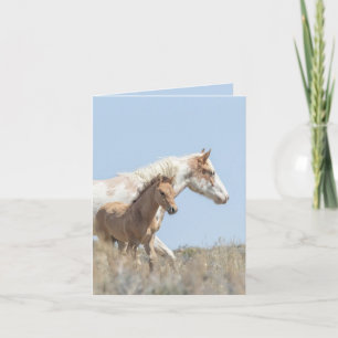 Galetea and Foal Wild Horse Greeting Card