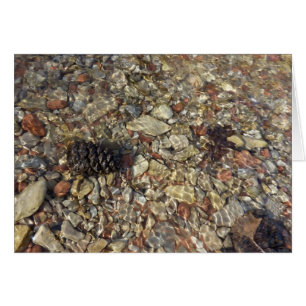 Galets dans Taylor Creek Nature Photography