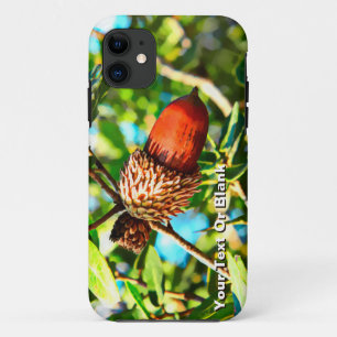 Galilee Acorn iPhone 11 Case