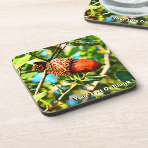 Galilee Acorn Coaster