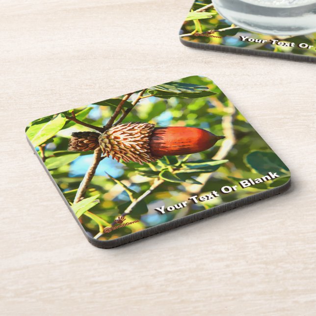 Galilee Acorn Coaster (Left Side)