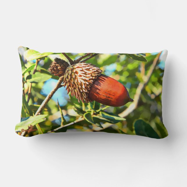 Galilee Acorn Lumbar Pillow (Front)