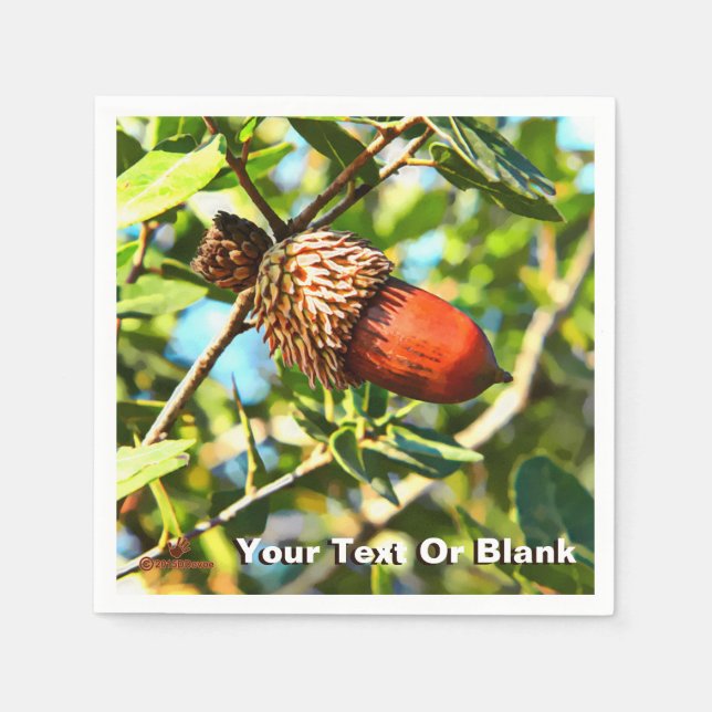 Galilee Acorn Napkin (Front)