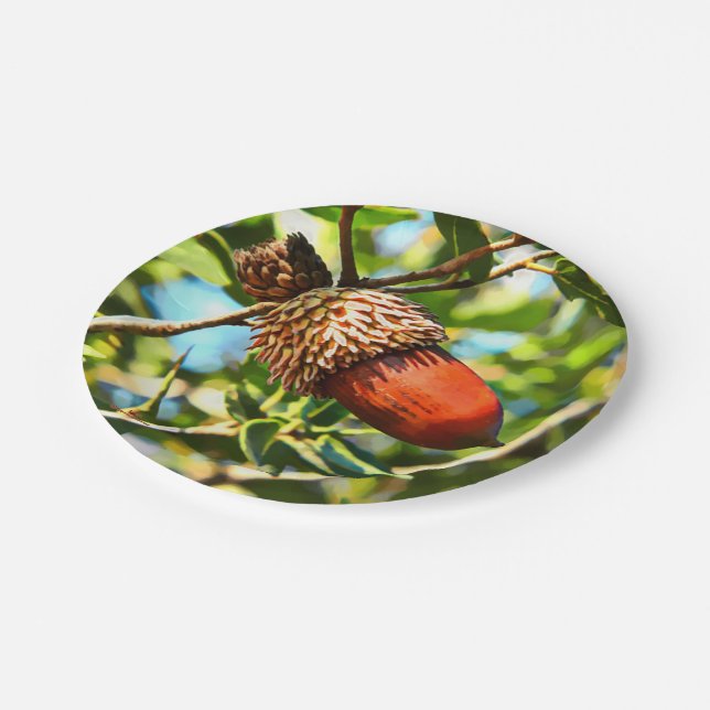 Galilee Acorn Paper Plate (Angled)