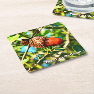 Galilee Acorn Square Paper Coaster