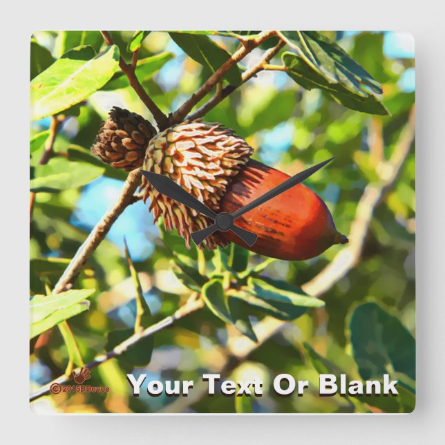 Galilee Acorn Square Wall Clock (Front)