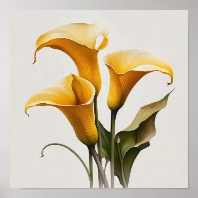 Galla Lys Lys Lily Art Imprimer Poster (Devant)