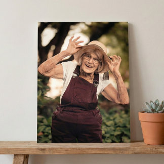 Gallery 12" x 16" Satin Poster Print