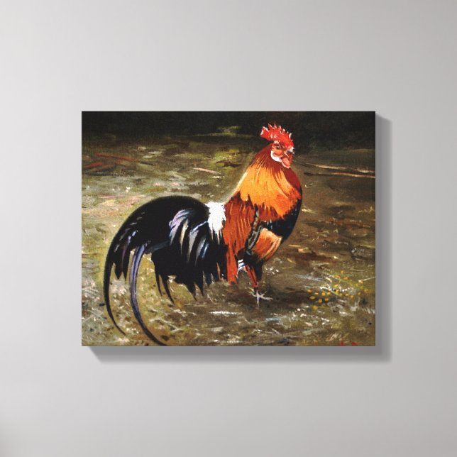 Gallo/Galo/Rooster Canvas Print (Front)