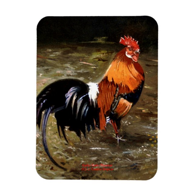 Gallo/Galo/Rooster Magnet (Vertical)