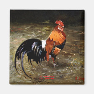 Gallo/Galo/Rooster Magnet