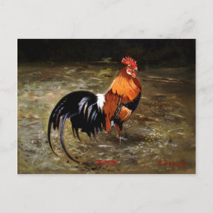 Gallo/Galo/Rooster Postcard