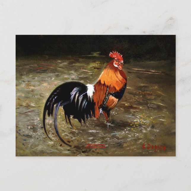 Gallo/Galo/Rooster Postcard (Front)