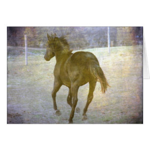 Gallop Away