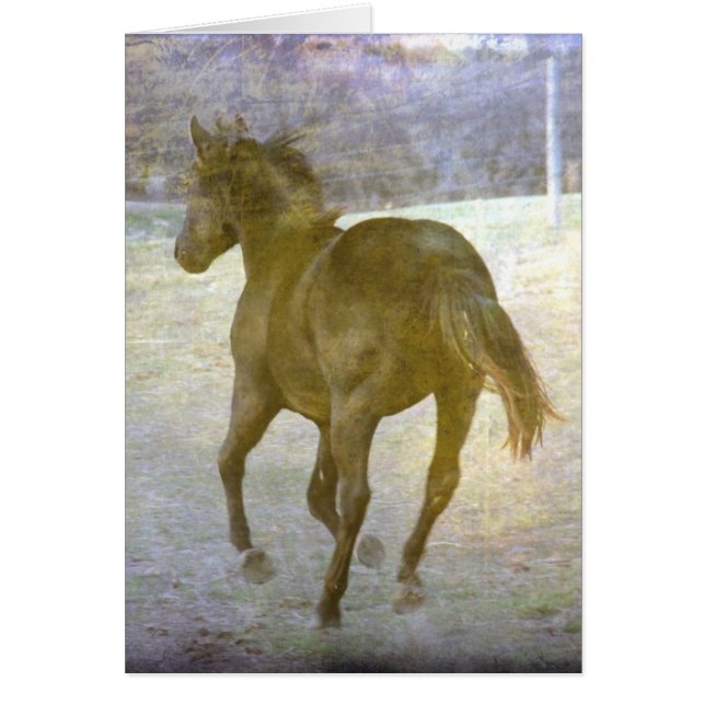 Gallop Away (Front)