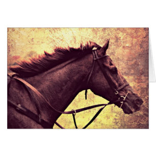 Gallop Grunge