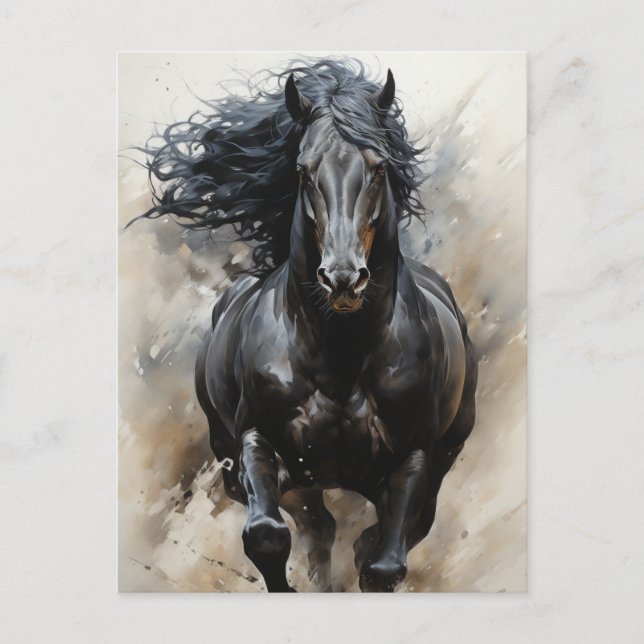 Galloping Black Horse Postcard (Front)