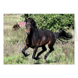 Galloping Chestnut Horse
