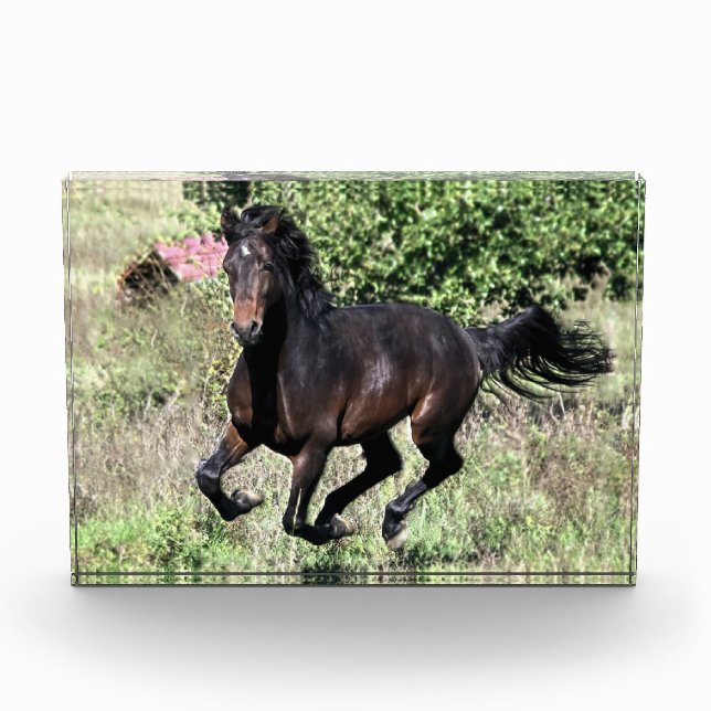Galloping Chestnut Horse Photo Block (Front)