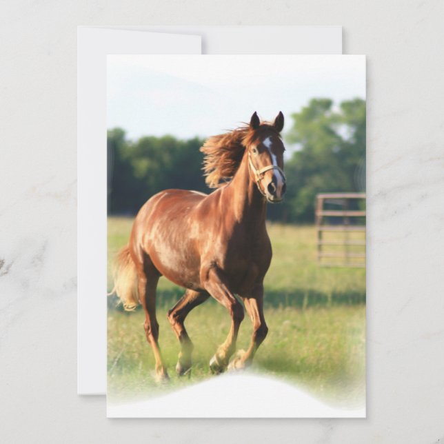 Galloping Chestnut Invitation (Front)