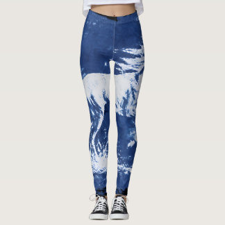 Galloping Horse Cyanotype Style Leggings
