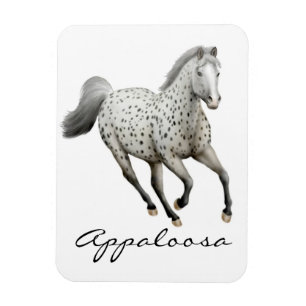 Galloping Leopard Appaloosa Horse Premium Magnet