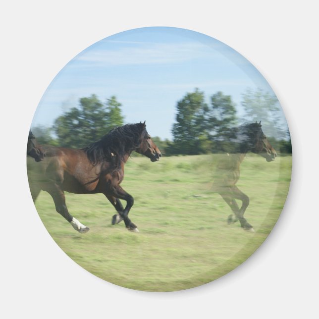 Galloping Mustangs Round Magnet (Front)
