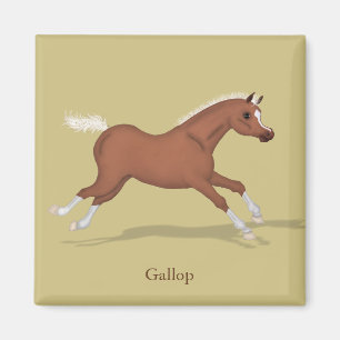 Galloping Sorrel Foal Gaits of the Horse Magnet