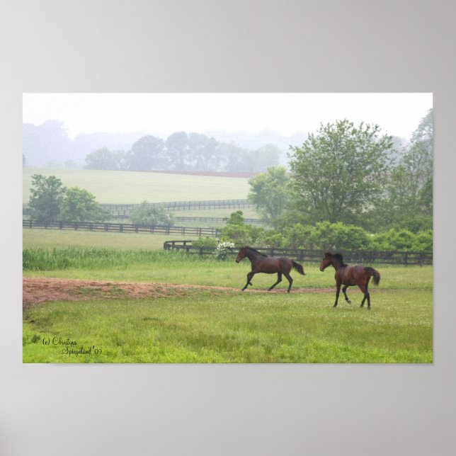 Galloping Standardbred Horses Poster (Front)