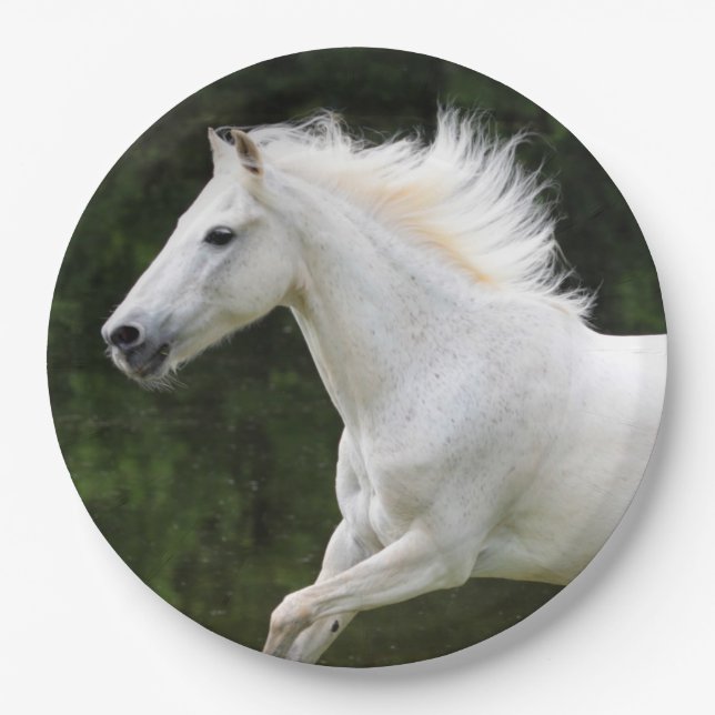 Galloping White Horse Paper Plate (Front)