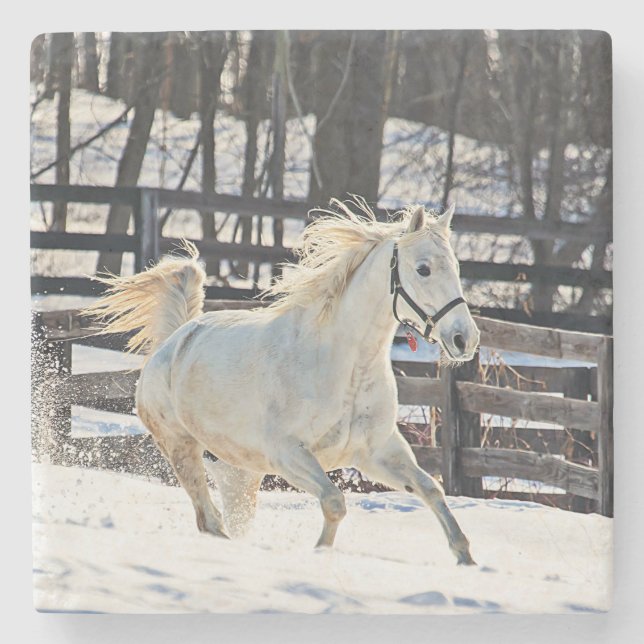 Galloping White Horse Stone Coaster (Front)