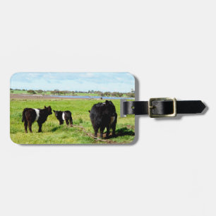 Galloway Cow Family, Luggage Tag