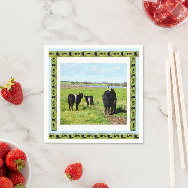 Galloway Cows Framed, Paper Napkins (Insitu)