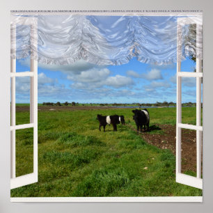 Galloway Cows Through a Window, Poster