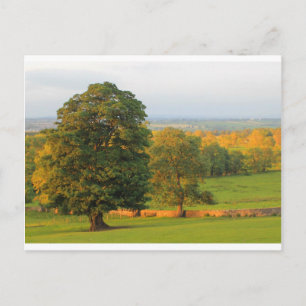 GALLOWS HILL POSTCARD