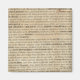 Galveston Bay and Texas Land Company Magnet