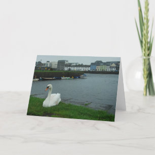 Galway Swan Note Card