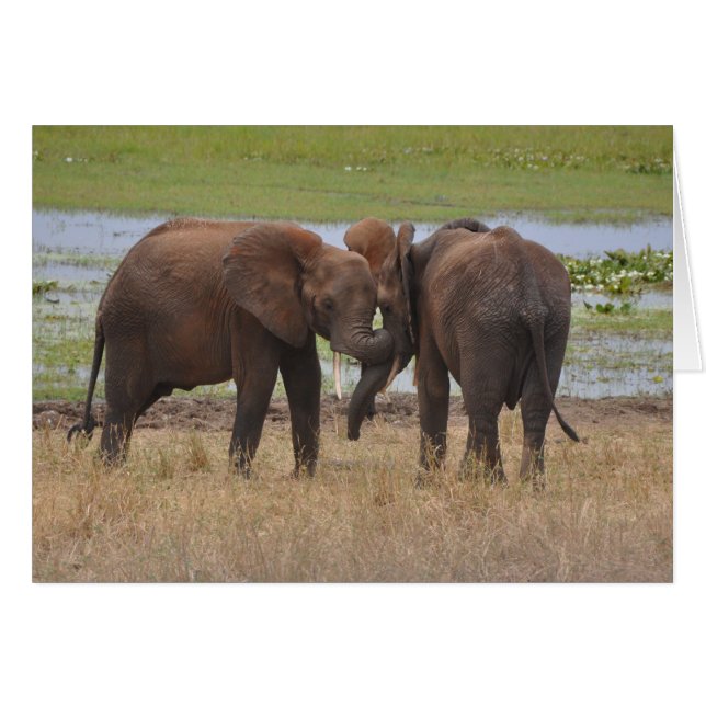 Gambades autour (Devant horizontal)