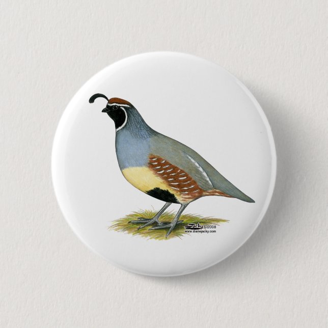 Gambel's Desert Quail 2 Inch Round Button (Front)