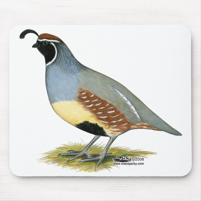 Gambel's Desert Quail Mouse Pad (Front)