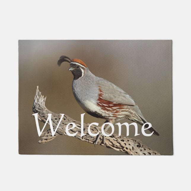 Gambel's Quail Doormat (Front)