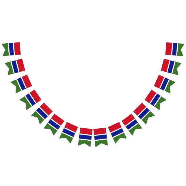 Gambia flag bunting banner (All)