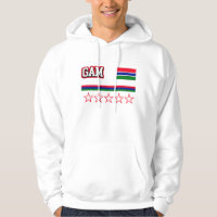 Gambia Flag