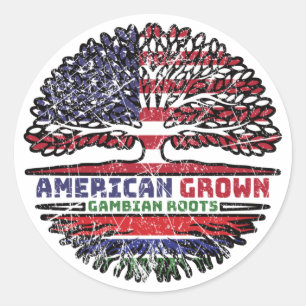 Gambia Gambian US American USA United States Tree Classic Round Sticker