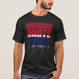 Gambian Roots Gambia Heritage Flag T-Shirt