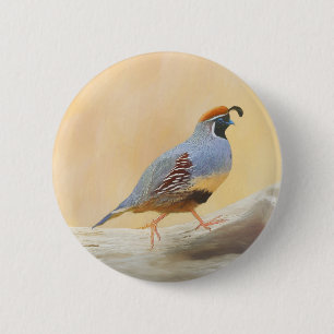 Gambrel's Quail Painting Original Bird Art 2 Inch Round Button