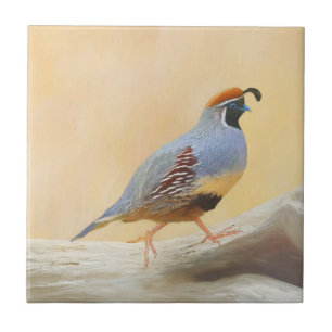 Gambrel's Quail Painting Original Bird Art Tile